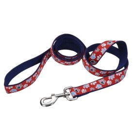 Ribbon Nylon Dog Leash Red 1 in x 6 ft