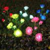 LED Solar Rose Orchid Flower Light Outdoor Garden Waterproof Simulation Lawn Lamp Wedding Party Christmas Decor Landscape Light