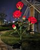 LED Solar Rose Orchid Flower Light Outdoor Garden Waterproof Simulation Lawn Lamp Wedding Party Christmas Decor Landscape Light